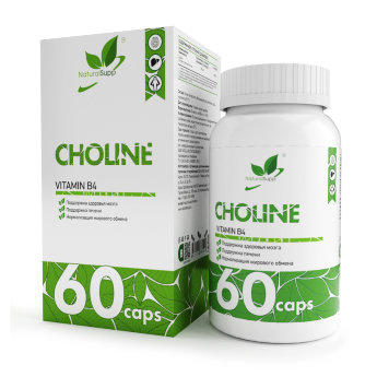 NATURALSUPP Choline Холин Vitamin B4 250 мг (60 капсул) Комплексная пищевая добавка "холин (витамин б4) битартрат". Поддержка здоровья мозга. Поддержка печени. Нормализация жирового обмена.
