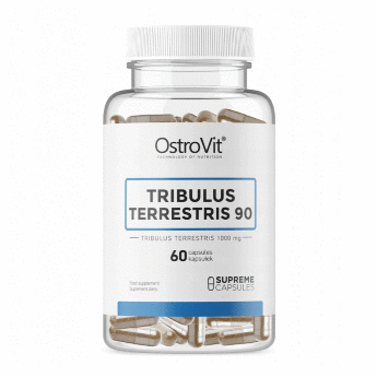 OSTROVIT Tribulus Terrestris 1000 мг (60 капсул) Т​естостероновый бустер от компании OstroVit оказывает тонизирующее действие. Повышает уровень свободного тестостерона в организме. Положительно воздействует на репродуктивную функцию. Сокращает период восстановления после занятий спортом.
