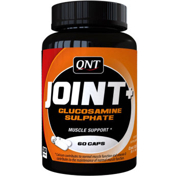 QNT Joint + Support (60 капсул) Joint+Support – Глюкозамин известен своим свойством стимулировать обновление хрящей и эластичность суставов. Необходим для спортсменов и малоподвижных людей страдающих от проблем с суставами. Активный ингредиент хондроитин сульфат, находящийся в хрящах, поддерживает влагу и эластичность.