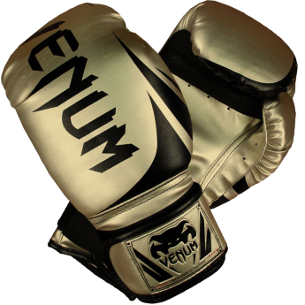 Перчатки Venum (venboxglove031) боксерские перчатки venum challenger 2.0